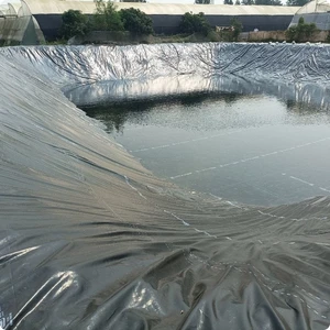 Pond Liner